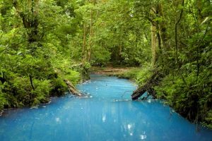 Rio Celeste Hiking; Costa Rican Tour