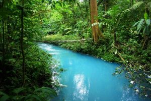 Rio Celeste; blue waters