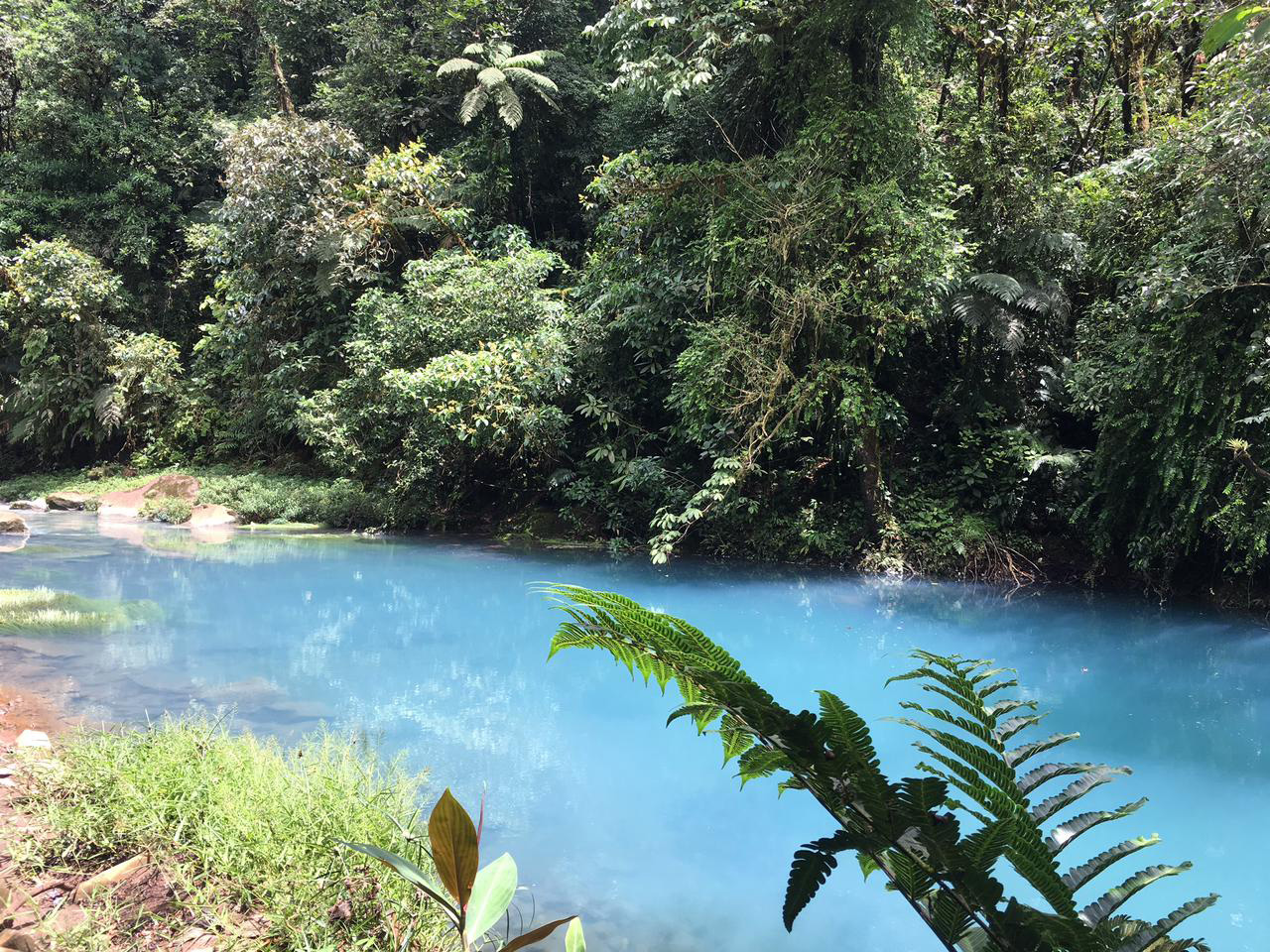 Rio Celeste Hiking; Costa Rican Tour